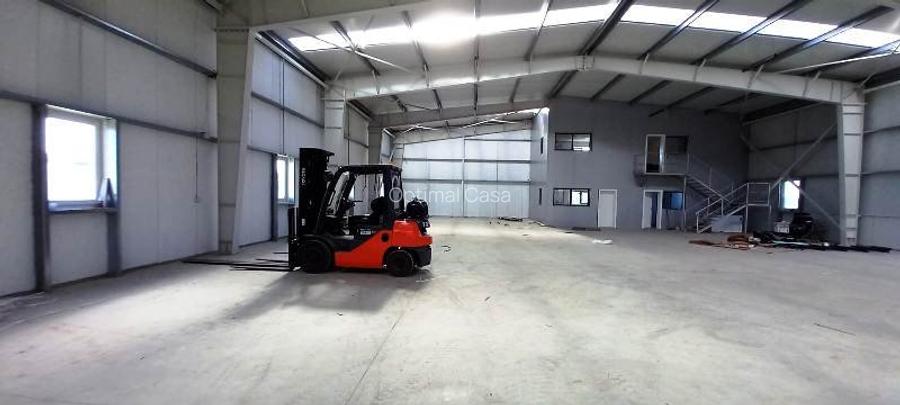 Magurele,hala 1000 mp,constructie noua ,ideal depozitare,productie - 15