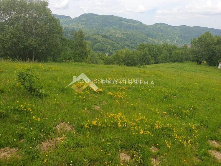 Investitie Teren intravilan 11.396 mp Moieciu de Jos - 7