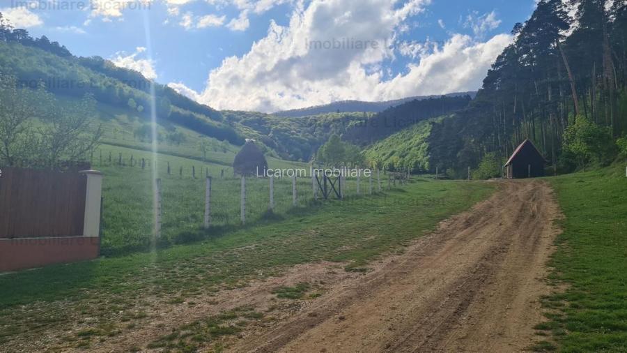 Vila P+E+Pod in Codlea zona cu aer curat,teren 1050 mp - 15