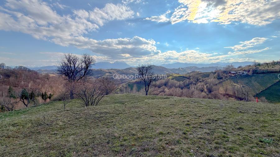 Refugiu de poveste în inima naturii | 12.000 mp în Holbav | Proiect început - 7