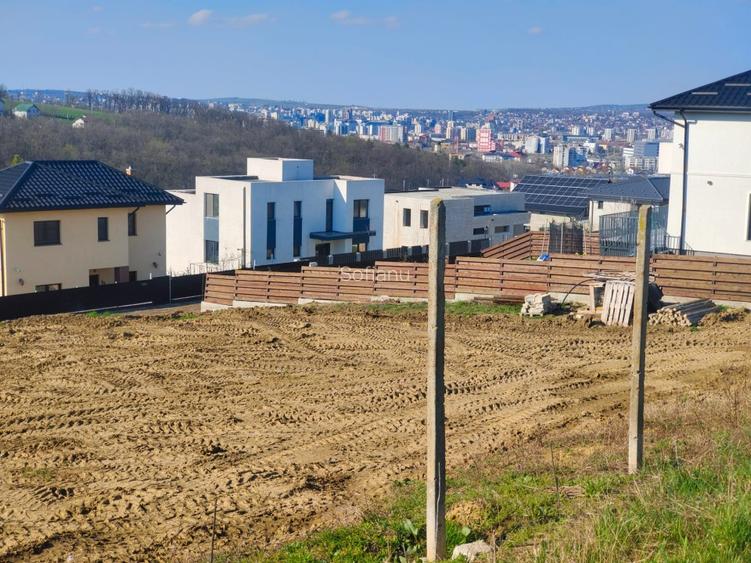 Teren Hlincea -  Poitiers - Manta rosie - 2