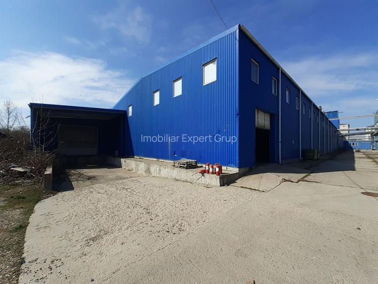 Berceni, hale dimensiuni 1800mp, 2750mp si 2900, acces facil - 11