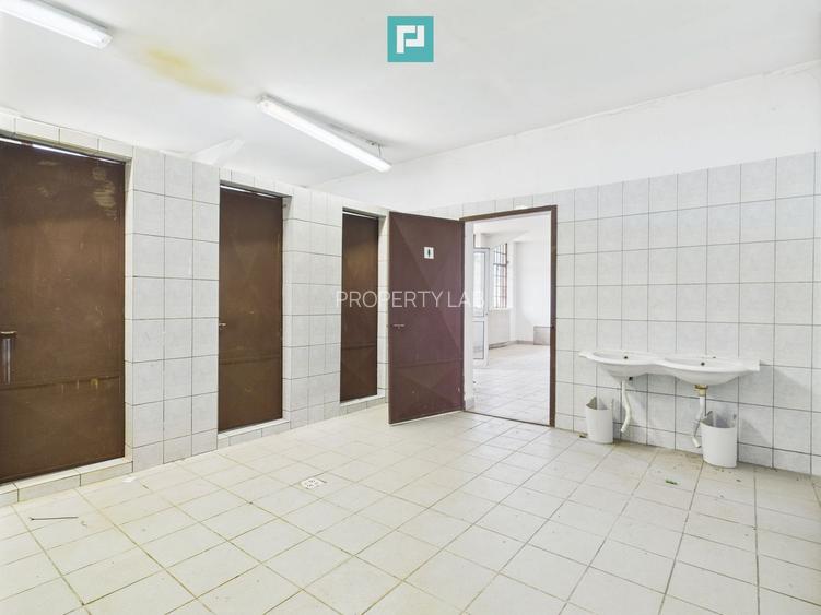 Hale 1800 mp fiecare – acces autostradă, Teiu, HD - 14