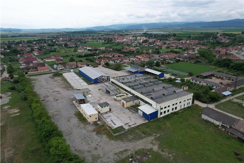 Oferta! Proprietate 5200mp hale cu 3,1 ha teren intravilan,  Miercurea Sibiului - 2