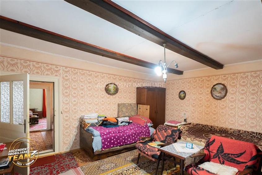 Casa in inima statiunii Covasna, cu gradina, vie si pomi fructiferi - 11