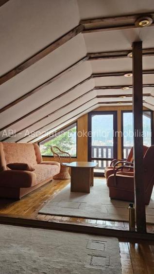 Vila Busteni vedere exceptionala! - 16