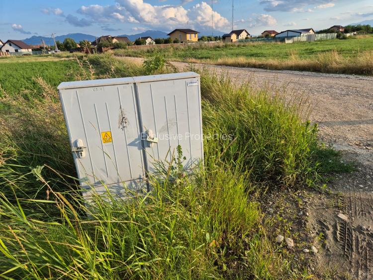 Teren 10.000 mp str. Lalelelor, Bod, Brasov pentru case - 5