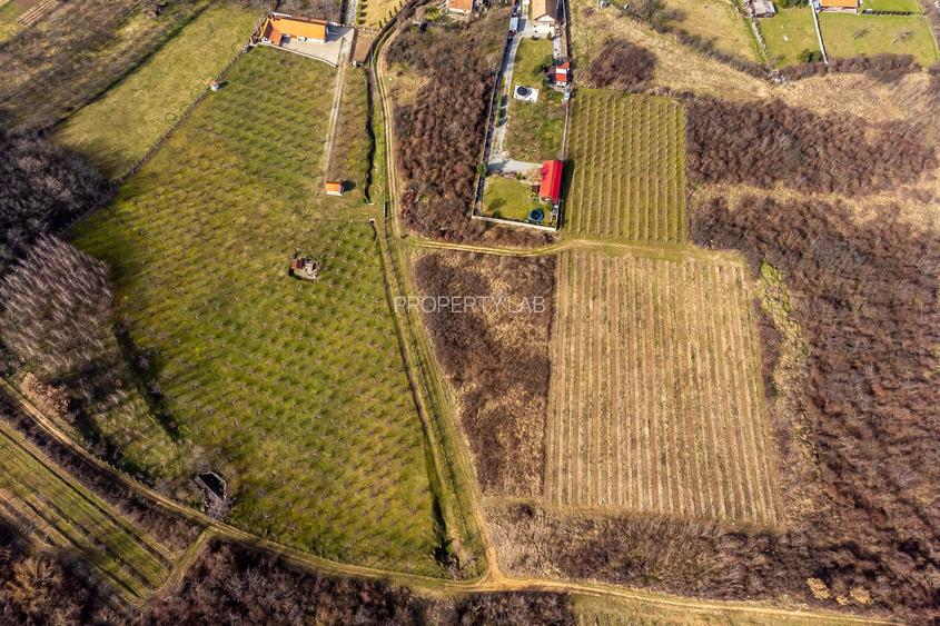 Teren intravilan în Șiria pe deal - 6