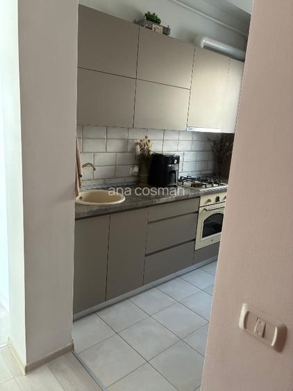 Apartament 2 camere, cu curte Dumbravita - 9
