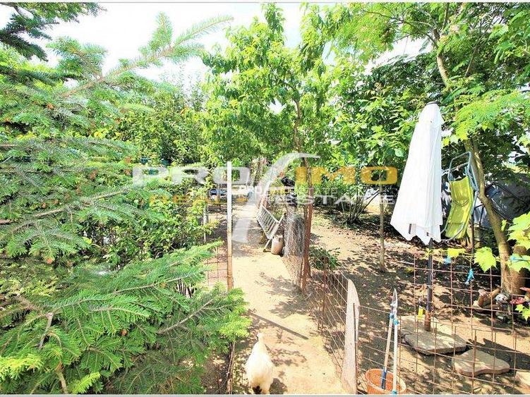 Vila P+1E, teren 500mp. Loc. Agigea - Pescaria Lui Matei - 13