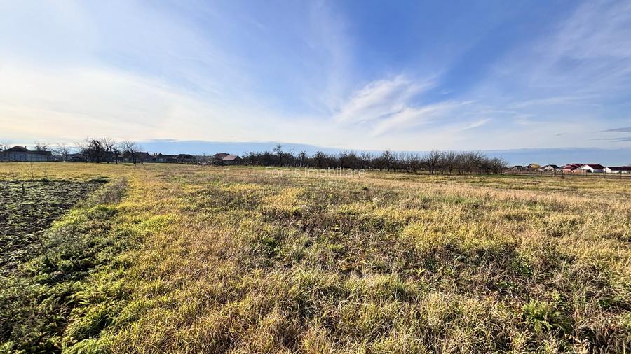 Teren intravilan Felcheriu-Osorhei 2500mp - 8