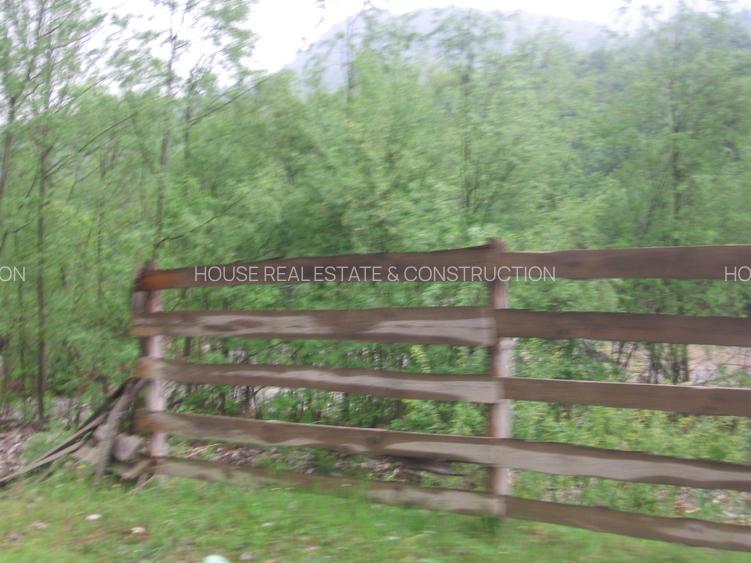 Teren intravilan situat in Traiteni,Valea Doftanei - 3