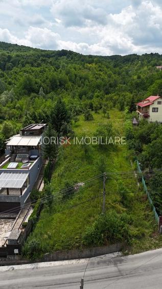 Breaza de Sus - Gura Beliei - teren cu vedere spre munte - 2