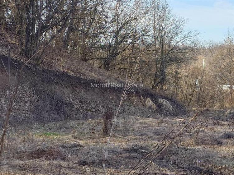 Teren intravilan la liziera padurii - 3