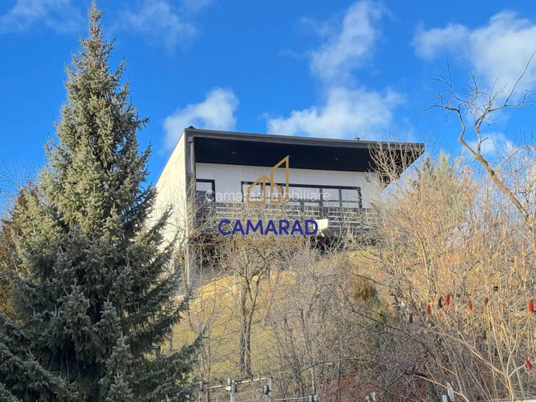 Vila vedere panoramica de vanzare - investitie - Provita de Jos, Prahova - 19