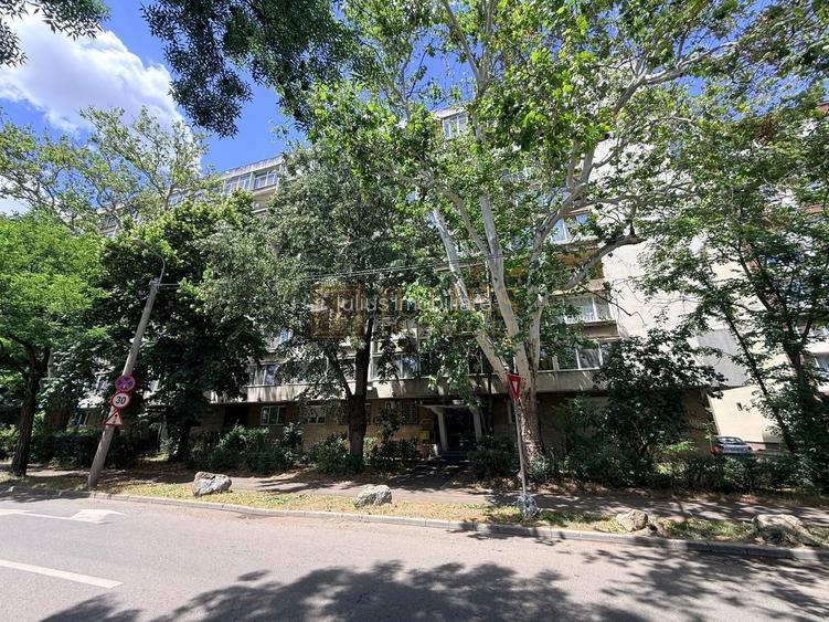 2 camere| zona Titulescu-Nokia| vis a vis de malul Bega| Pet Friendly| - 26
