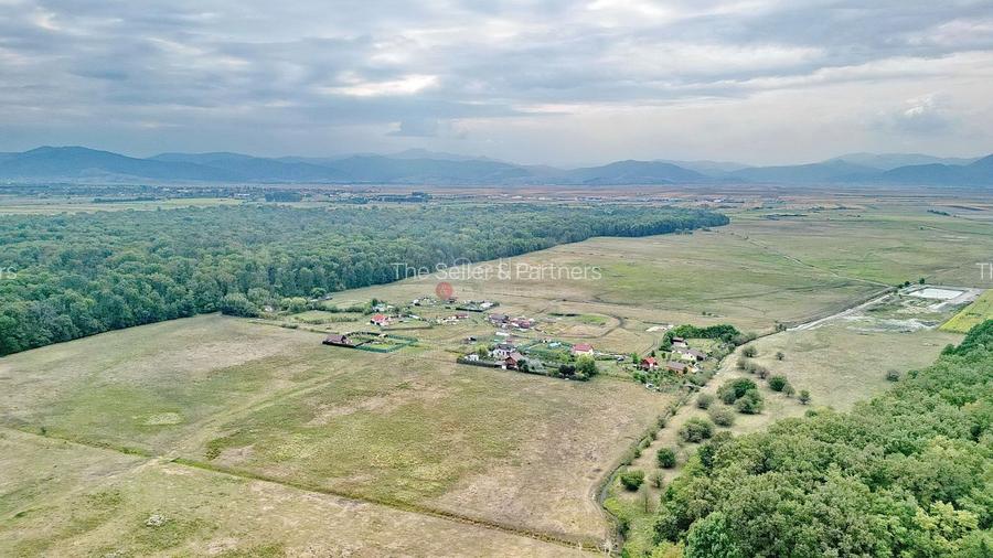 Teren Extravilan - 5