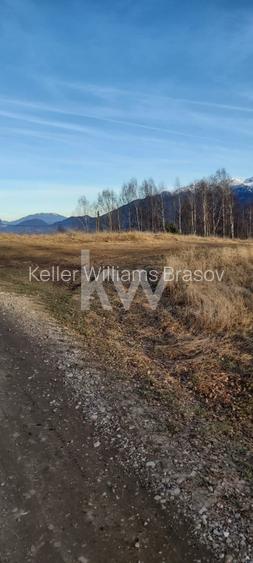 Teren de vanzare Sirnea- Comision 0% - 4