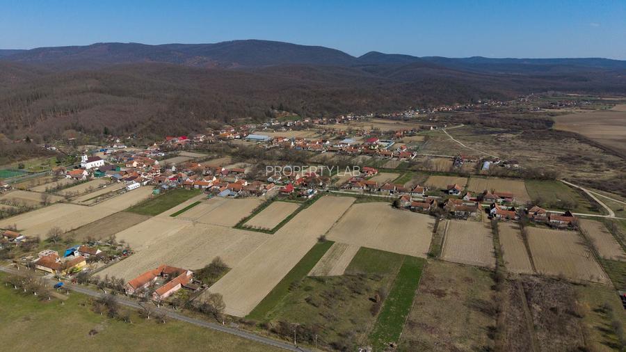 Loc de casă în Odvoș - Conop 3000mp - 4