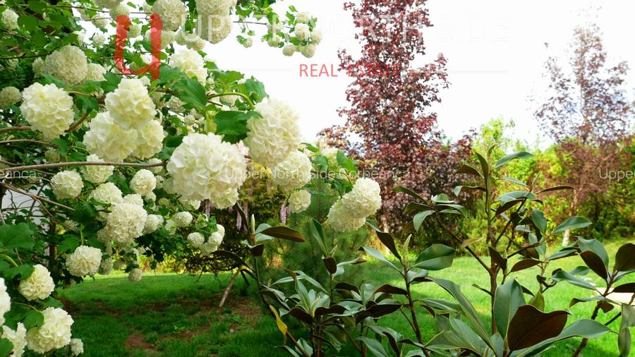 Mansion Luxuriant | Piscina Interioara | Teren tenis | 2500 mp gradina superba - 3