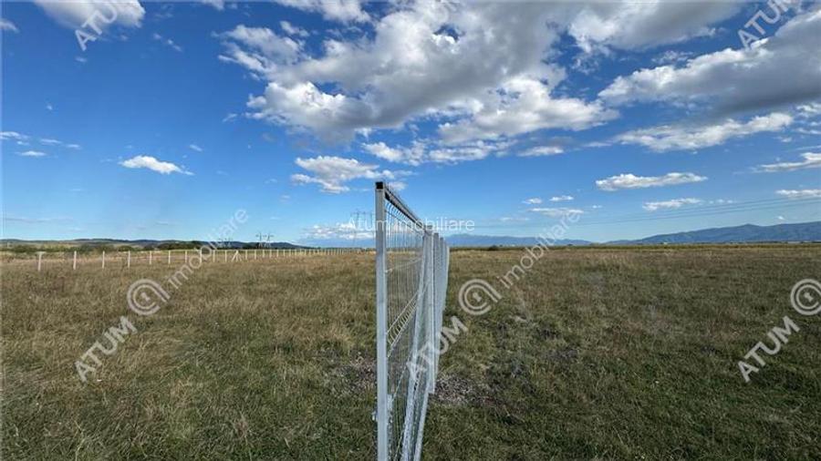 Teren 4200 mp situat in extravilanul zona Calea Surii Mici Sibiu - 2