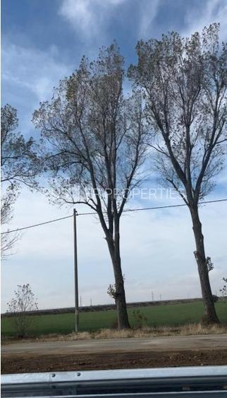 Teren Intravilan de 15.000 mp de vanzare in Ștefanestii de Jos. - 2