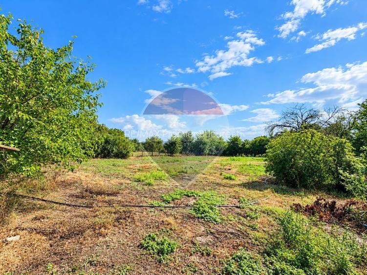 | Casă 3 camere | teren 2800 mp |  Judetul Dambovita | - 9