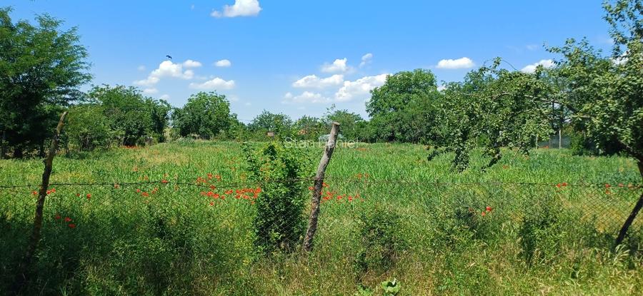 Teren intravilan de vânzare – 1.800 mp – Fântâna Doamnei, județul Călărași  - 5