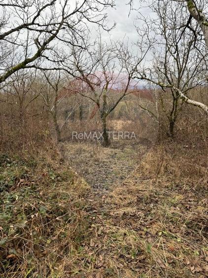 DE VANZARE Teren Strada Victoriei Baia Mare - 12