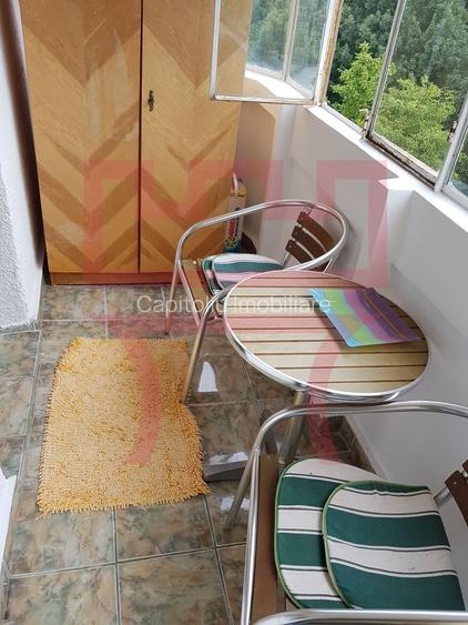 Inchiriere apartament renovat 2 camere parcare Plopilor parcul Babes - 13