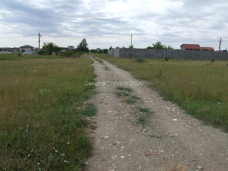 Domnesti-Afinului, teren  4394 mp - 9