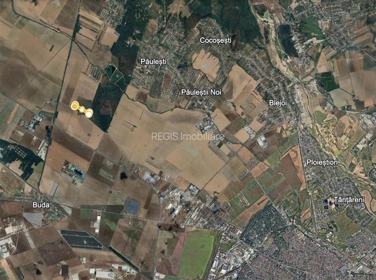 Magnolia Village | Teren 30.000 mp perfect pentru dezvoltare - 4