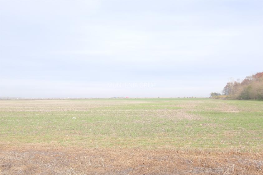 Unicat ! A3 - Gherghita, 27 Ha. teren intravilan cu PUZ aprobat - 4