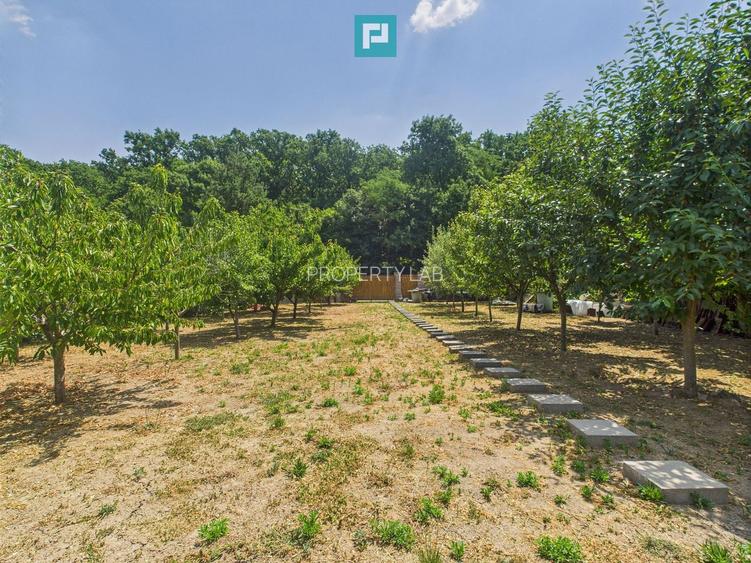 Teren edificabil 1106 mp – Dumbrăvița - 2