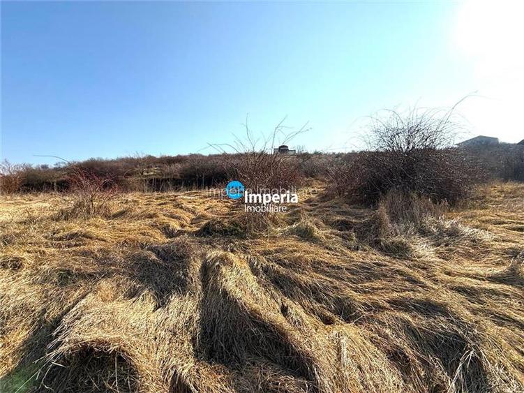 Teren intravilan 1000 mp, lac, priveliste panoramica Hlincea Iasi - 2