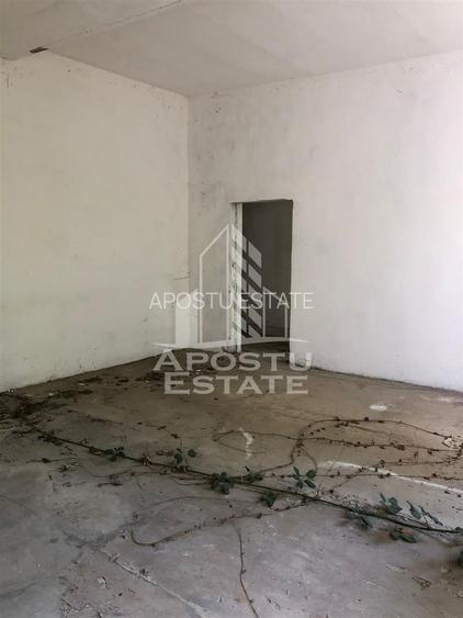 Teren 8000 mp  cu hala de 700 mp - 6