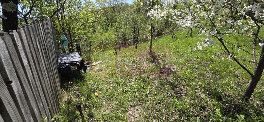 Teren cu Casuta de lemn in Sotrile (langă Valea Doftanei) - 9