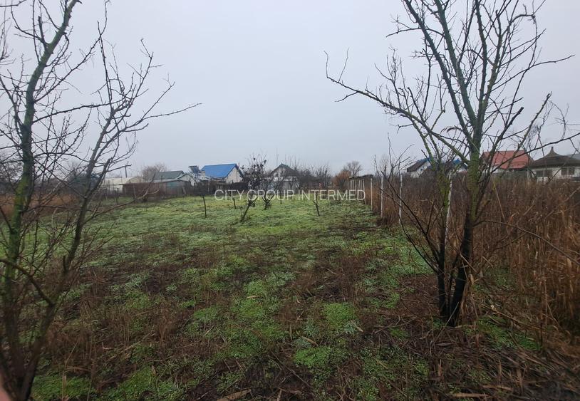 Delta Dunarii - Ilganii de Jos - casa cu deschidere la Dunare - 13