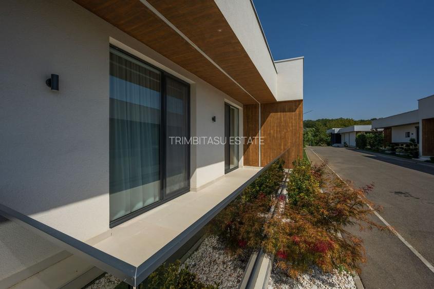 Vila Superba - Snagov Lac - Comunitate - Piscina - Ponton - 33