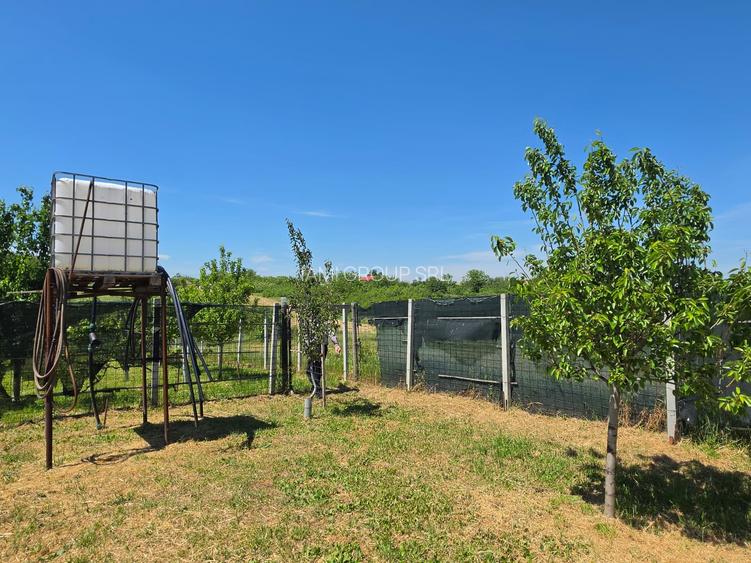 Teren cu livada perfect pentru CASA - 1.200 MP Sat Varlaam, Giurgiu - 4