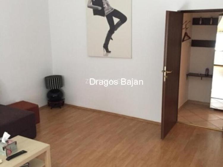 Icoanei // Vila superba // 2 camere. - 2