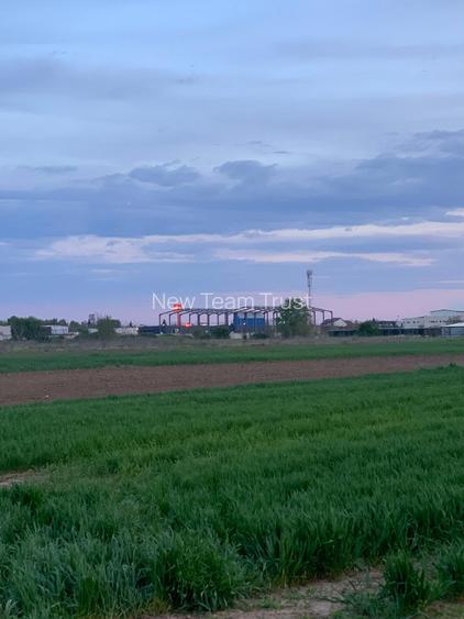 DJ200 Afumati Petrechioaia  Vanzare Teren intravilan -extravilan - 10