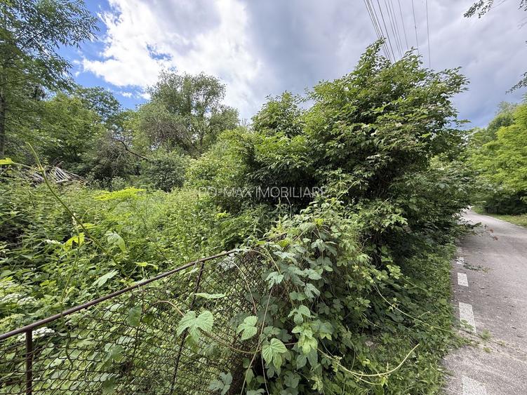 Teren intravilan 683 mp deschidere la strada asfaltata ! - 13