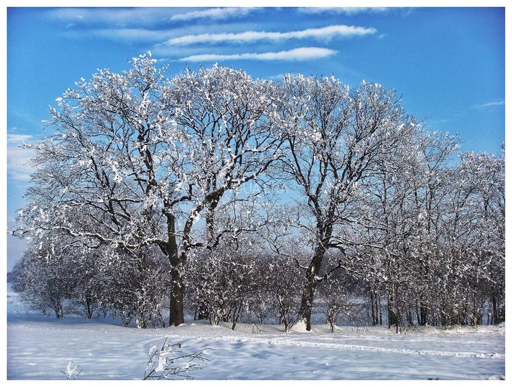 Intravilan în satul Popești. Zona Frumusani. Curent. Padure. Aer curat, liniste. - 4