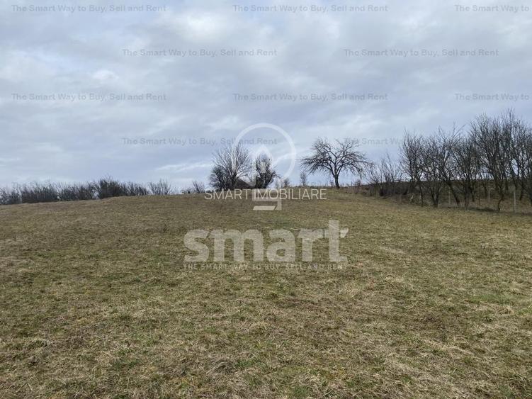 Teren intravilan cu CF 5400mp front 17 Savadisla jud Cluj - 11