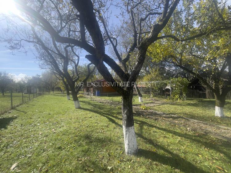 Casute Breaza, teren 1140 mp - 18