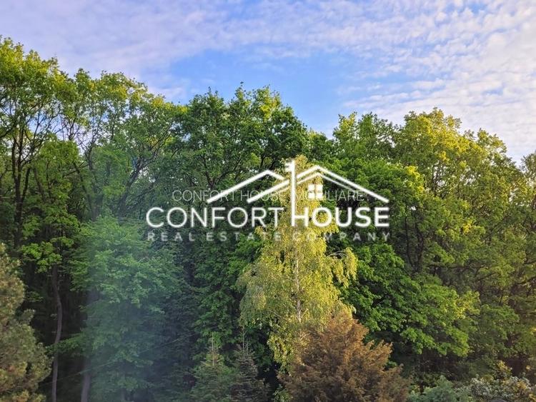 VILA D+P+E+M, 12 camere, piscina , padure, IANCU NICOLAE - 32