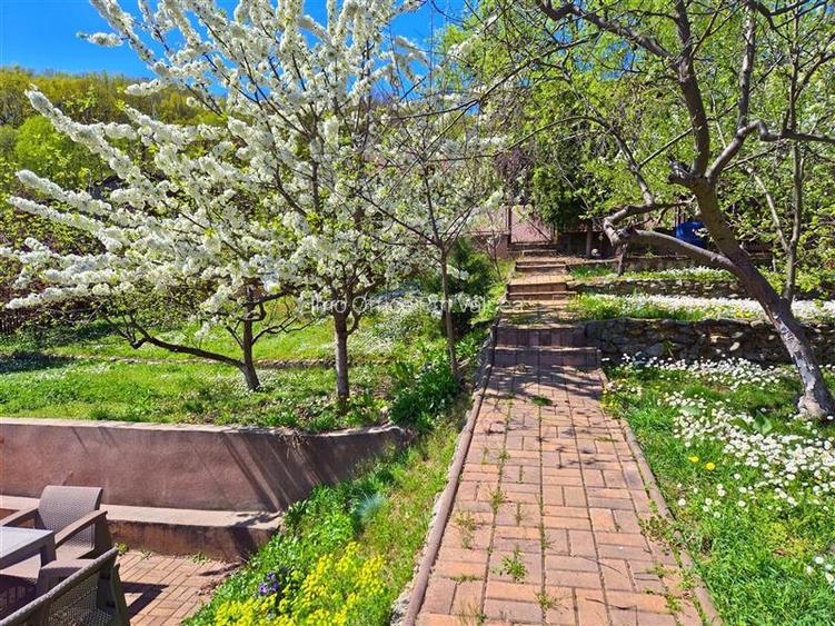 VILA CLASICA DE FAMILIE |TEREN 1137| POZITIE EXCELENTA - NORD - 16