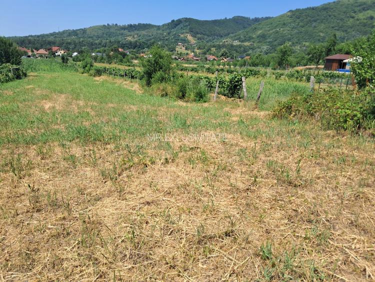 TEREN INTRAVILAN POLOVRAGI - 2