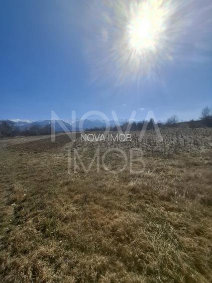Teren extravilan de vanzare - Arpasul de Sus - 2